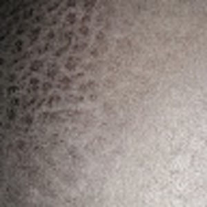 Meet your Posher, Tamara